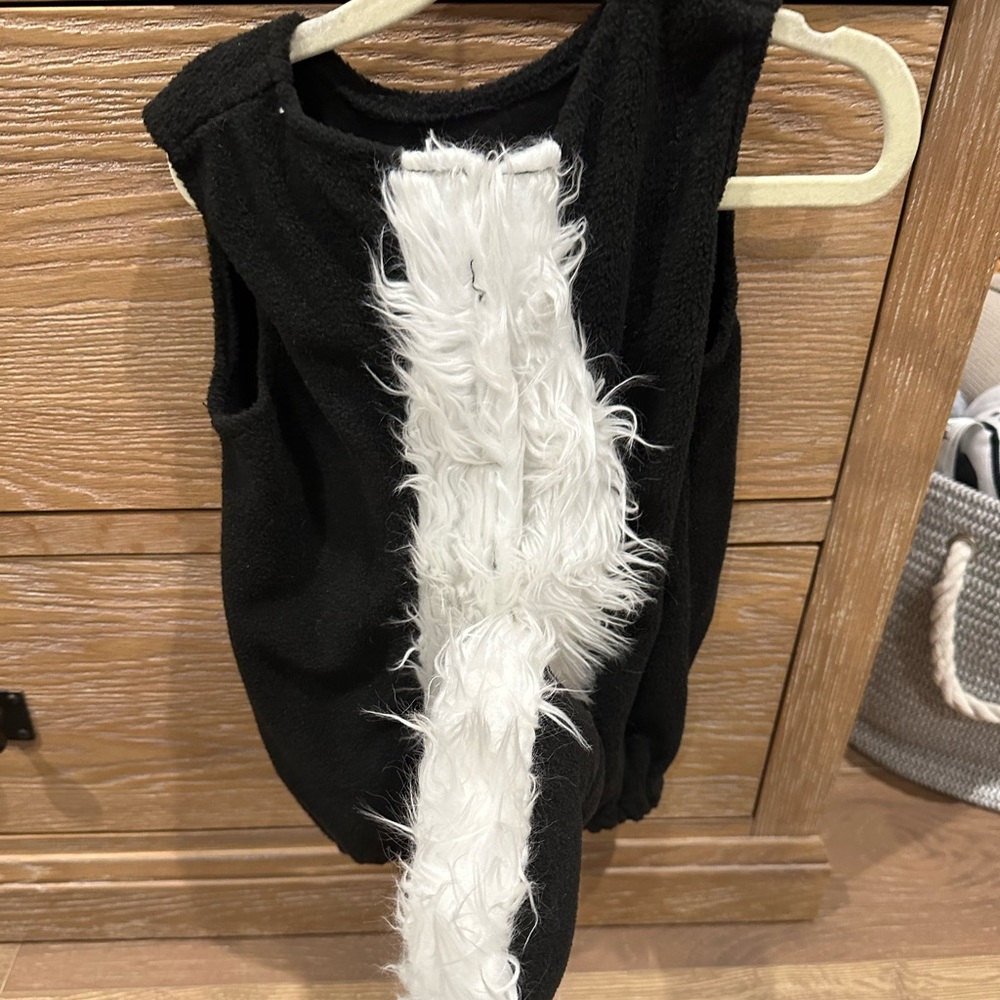Pottery, barn, kids skunk costume